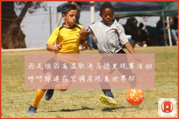 西足协因高温取消马德里观赛活动呼吁球迷在空调房观看世界杯